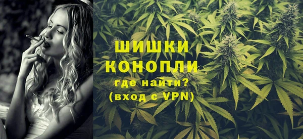 сатива Абинск