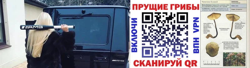 Галлюциногенные грибы Cubensis  MEGA вход  Иркутск 